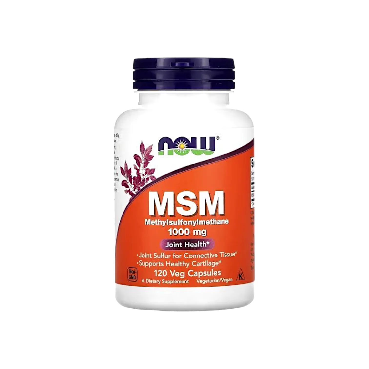 NOW MSM 1000 mg